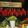 pite_045.jpg