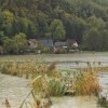 drava, krčevina pri vurberku1.jpg