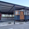 883704_257_-_zusterna_1.jpg