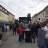 martinovanje-2023, gornja-radgona