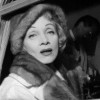 marlene.png