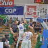 _krka_cibona__1_.jpg