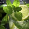 Limeta listi limete