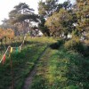 Krajinski park Debeli rtič, klif