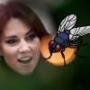 Test "Muha" je ključen!