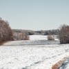 simbolična, sneg, zima, gozd, polje, goričko, zasnežena, taljenje
