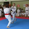 kuzma, karate