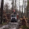 simbolična, apače, gozd, neurje, uničeni-gozdovi, spravilo-lesa, pokončna
