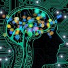 867271_125-neuro1.jpg