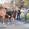 blagoslov-konjev, križevci-pri-ljutomeru