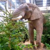 Noahs-ark-zoo-farm.jpg