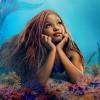 Halle Bailey.jpg