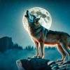 polna luna