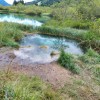 _zelenci_se_bohotijo_s_svojimi_povirji__jezerci_z_brbotajocimi_podvodnimi_izvirki__vodnimi_okni...