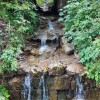 _z_apnencem_bogata_voda_priteka_v_jezerca_zelencev__iz_slapa_nadize_v_tamarju_in_drugih_pritoko...