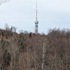 _zsljeme__08_.jpg