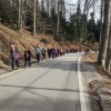 _zsljeme__13_.jpg