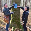 zgs, sidg, jz-kp-goričko, habitatna-drevesa