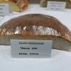 kruh_003.jpg