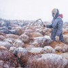 mongolia-nomad-mraz.jpg