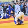 lendava, judo