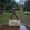 bruce-lee.jpg