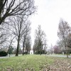 DSC_3330.jpg