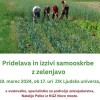 _zzvabilo.jpg