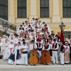 _zzdunaj_2008_adleani_in_predgrajci.jpg