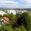 Občina Trzin