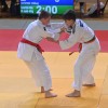 lendava, judo