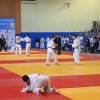 lendava, judo