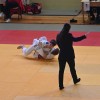 lendava, judo