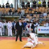 lendava, judo