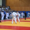 lendava, judo