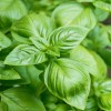 AdobeStock_269478419.jpeg
