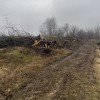 sekanje, lovska inšpekcija