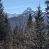 pxl_20240404_113131916.jpg