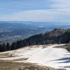 pxl_20240404_091624705.jpg