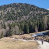 pxl_20240404_111817056.jpg