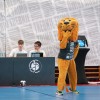 dsc06447.jpg