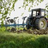 kmetijstvo, poljedeljstvo, njive, traktor, gnojenje