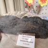 kruh_011.jpg