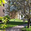 soseskalendava24.jpg