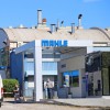mahle, šempeter