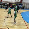 _dobova_krka__1_.jpg