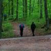img_3536_23.jpg