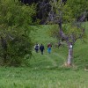 img_3536_30.jpg