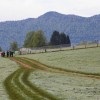 img_3492.jpg