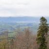 img_3590.jpg